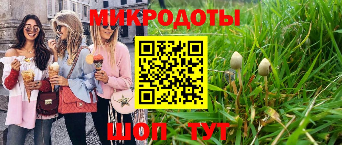 Галлюциногенные грибы Cubensis  Вход с VPN  Галлюциногенные грибы прущие грибы  Ярцево 